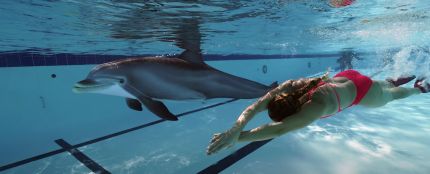 Edge Innovartion crea un delfín robot para sustituir al de los acuarios