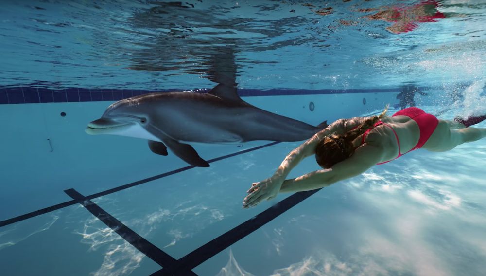 Edge Innovartion crea un delfín robot para sustituir al de los acuarios