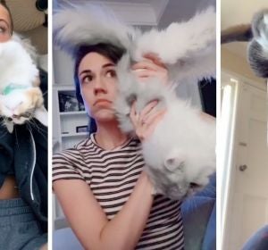 El nuevo reto viral de TikTok, no apto para amantes de sus mascotas El nuevo reto viral de TikTok, no apto para amantes de sus mascotas