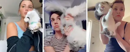 El nuevo reto viral de TikTok, no apto para amantes de sus mascotas El nuevo reto viral de TikTok, no apto para amantes de sus mascotas