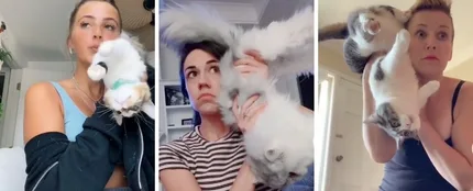 El nuevo reto viral de TikTok, no apto para amantes de sus mascotas El nuevo reto viral de TikTok, no apto para amantes de sus mascotas