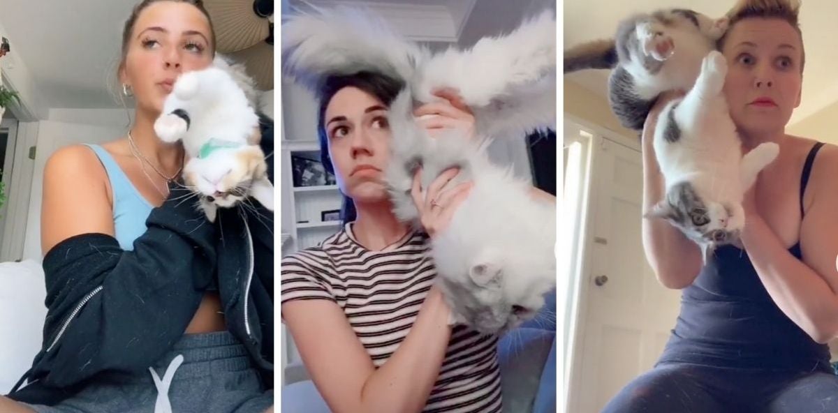 El nuevo reto viral de TikTok, no apto para amantes de sus mascotas