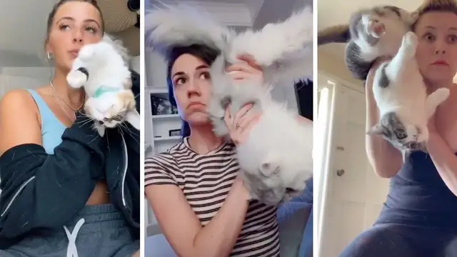 El nuevo reto viral de TikTok, no apto para amantes de sus mascotas