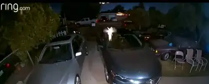 Captan a "Campanilla" revoloteando frente a una cámara de seguridad Captan a "Campanilla" revoloteando frente a una cámara de seguridad