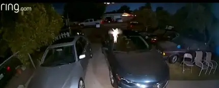 Captan a "Campanilla" revoloteando frente a una cámara de seguridad Captan a "Campanilla" revoloteando frente a una cámara de seguridad