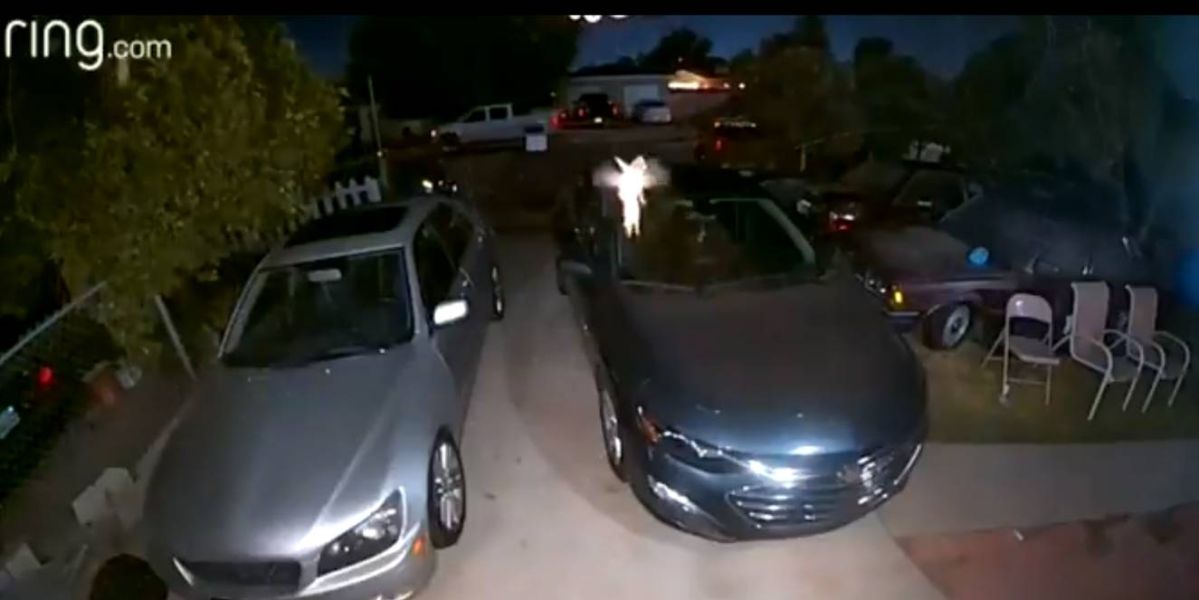 Captan a "Campanilla" revoloteando frente a una cámara de seguridad