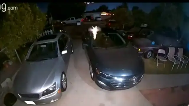 Captan a "Campanilla" revoloteando frente a una cámara de seguridad
