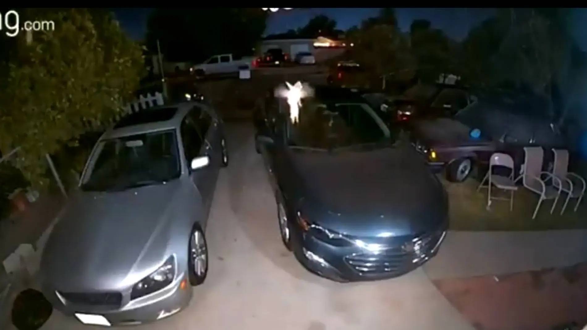 Captan a "Campanilla" revoloteando frente a una cámara de seguridad Captan a "Campanilla" revoloteando frente a una cámara de seguridad