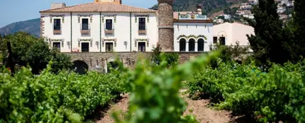 Bodega y viñedos Bodega y viñedos