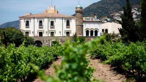 Bodega y viñedos Bodega y viñedos