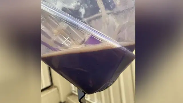 El desagradable vídeo viral de una mujer limpiando el coche tras años sin hacerlo