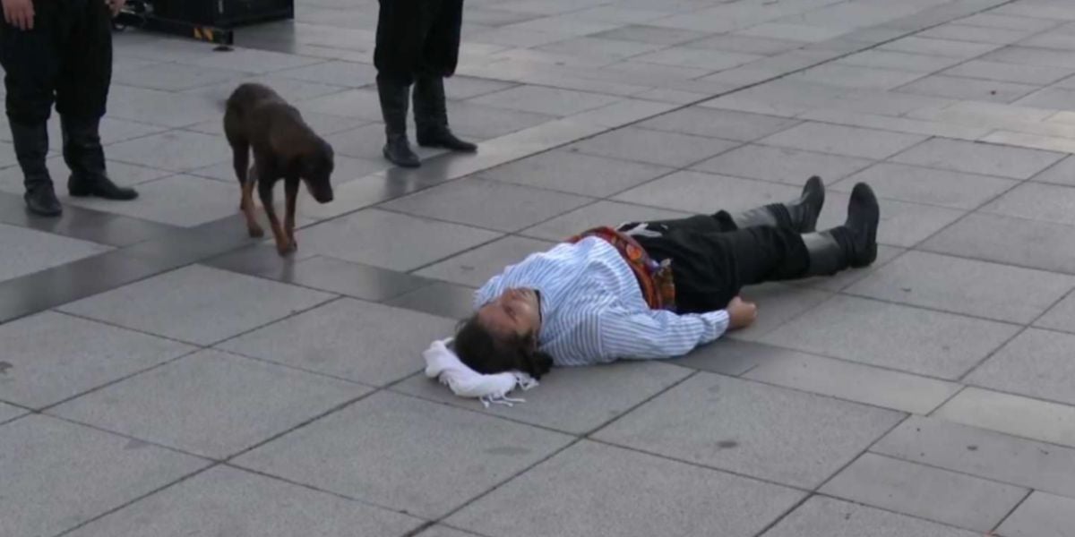 Un perro callejero irrumpe en una ‘performance’ para ayudar al actor que finge estar herido