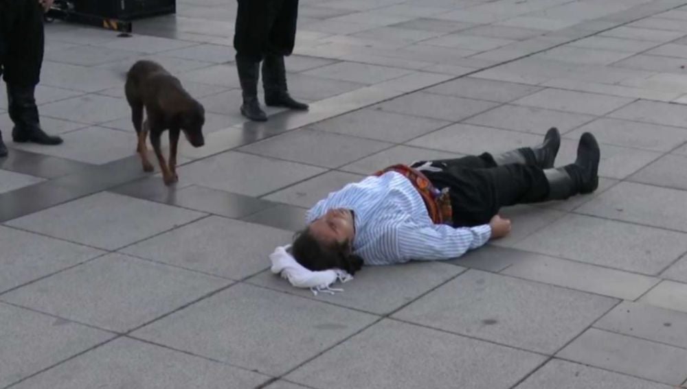 Un perro callejero irrumpe en una ‘performance’ para ayudar al actor que finge estar herido