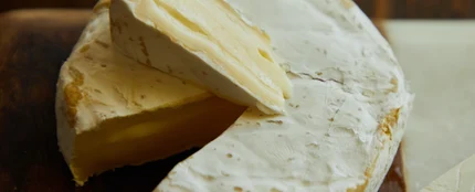 Queso brie Queso brie