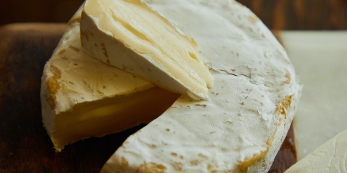 Queso brie