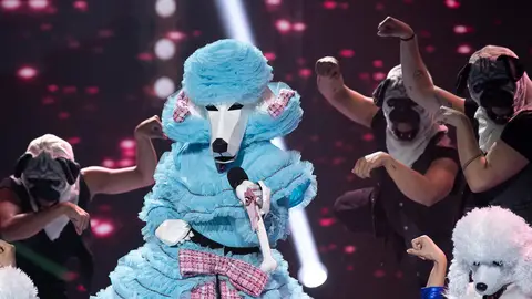 El Caniche perrea en ‘Mask Singer’ con ‘No me acuerdo’ de Thalía y Natti Natasha El Caniche perrea en ‘Mask Singer’ con ‘No me acuerdo’ de Thalía y Natti Natasha