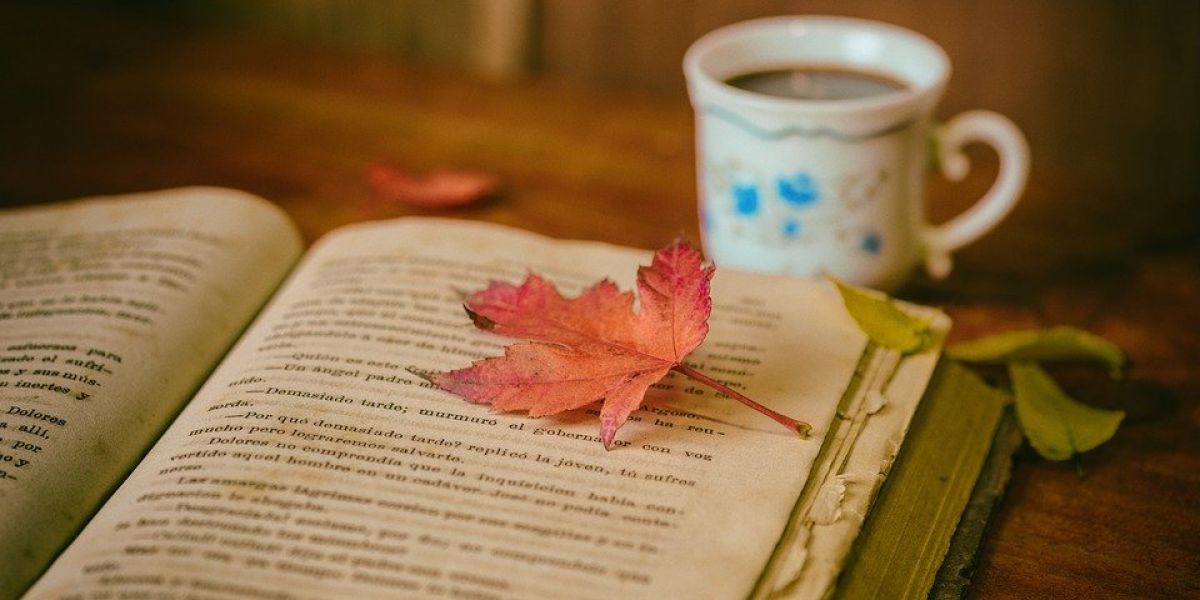 Leer en Navidad, una costumbre islandesa