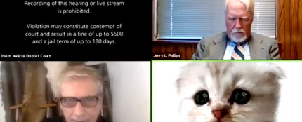 "No soy un gato": el percance viral de un abogado en Zoom durante una audiencia virtual "No soy un gato": el percance viral de un abogado en Zoom durante una audiencia virtual