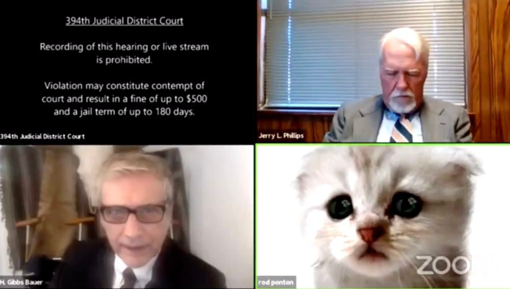 "No soy un gato": el percance viral de un abogado en Zoom durante una audiencia virtual