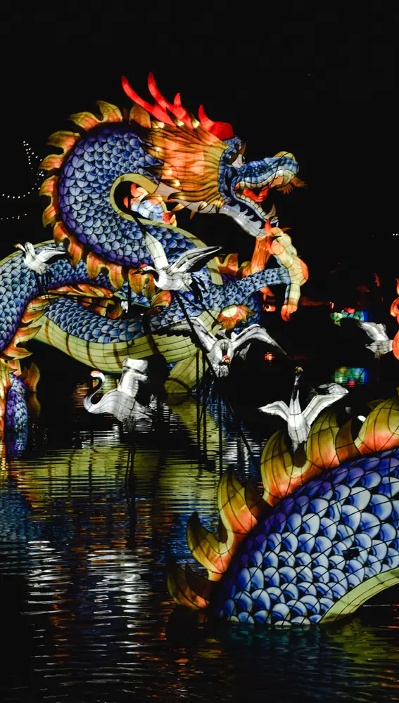 Dragón chino Dragón chino