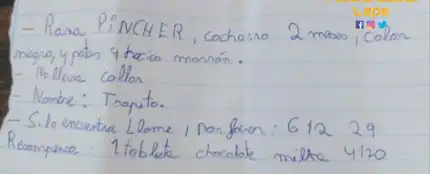 Atención, se busca: la tierna nota de un niño de Lepe que ofrece chocolate para recuperar a 'Trapito' Atención, se busca: la tierna nota de un niño de Lepe que ofrece chocolate para recuperar a 'Trapito'