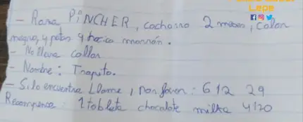 Atención, se busca: la tierna nota de un niño de Lepe que ofrece chocolate para recuperar a 'Trapito' Atención, se busca: la tierna nota de un niño de Lepe que ofrece chocolate para recuperar a 'Trapito'