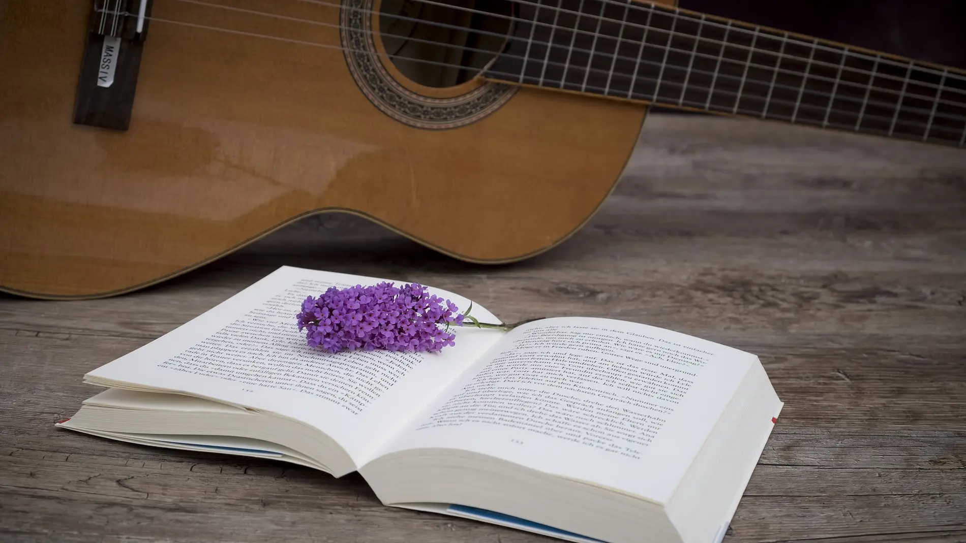 Un libro y una guitarra