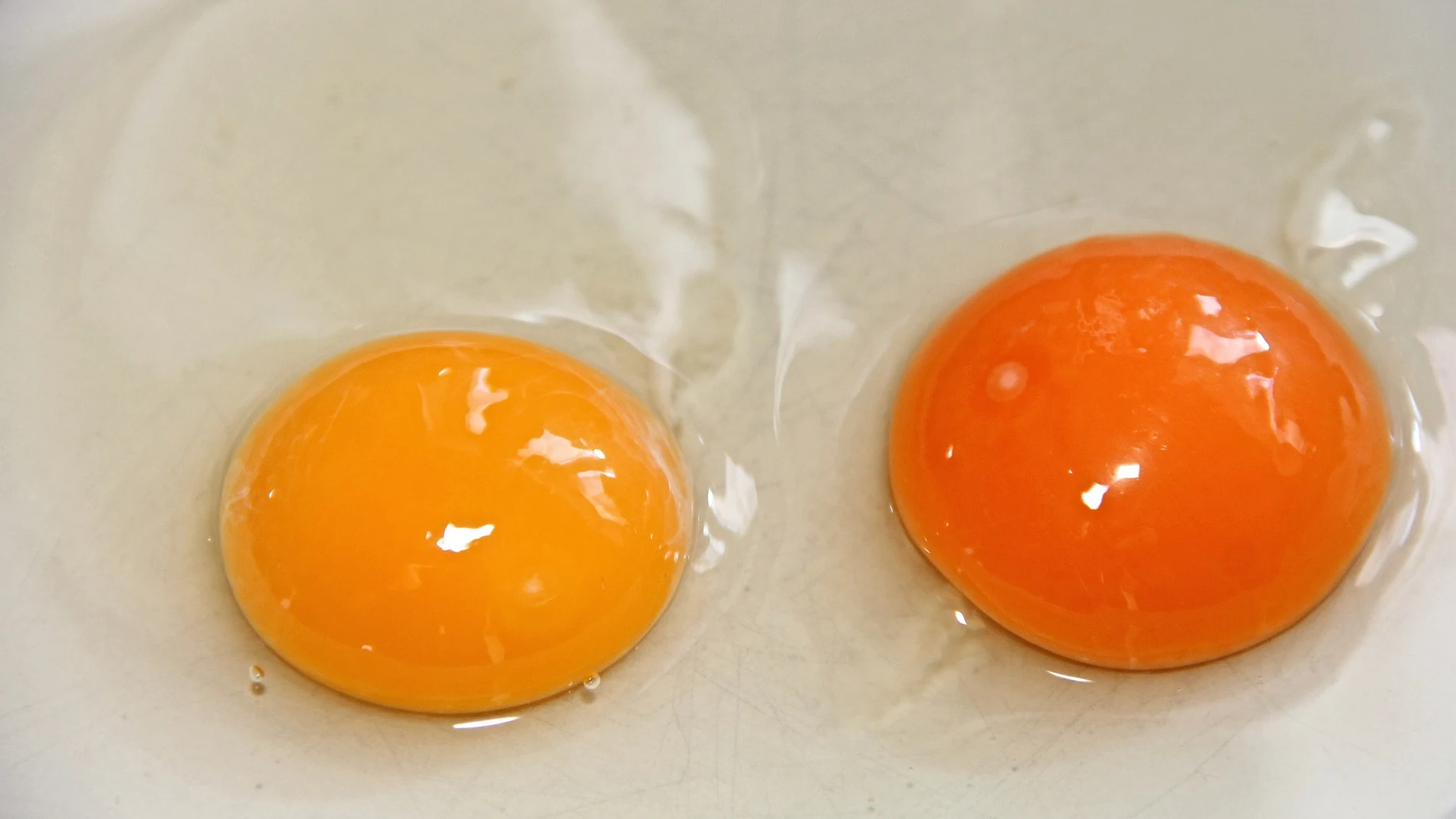 No son proyectos de pollito: qué son en realidad las machas rojas que hay a veces en los huevos