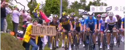 Aficionada que provocó una caída masiva en el Tour de Francia Aficionada que provocó una caída masiva en el Tour de Francia