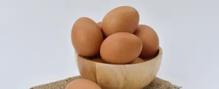 El nuevo vídeo viral de TikTok genera polémica en las redes El nuevo vídeo viral de TikTok genera polémica en las redes