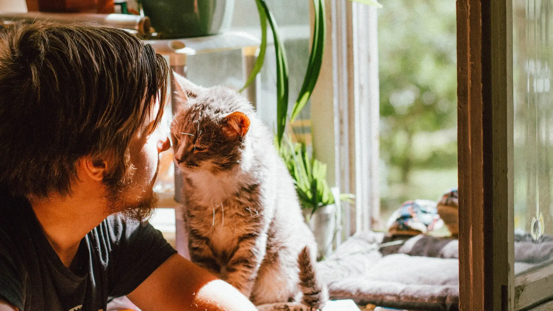 enfocar césped En el piso Los hombres que posan con gatos en apps para ligar tienen menos citas,  según un estudio | Europa FM