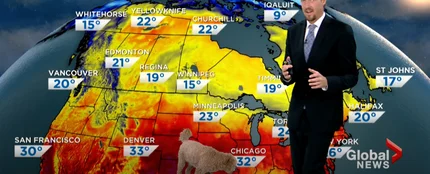 Un perro se cuela en la previsión meteorológica de un informativo en directo Un perro se cuela en la previsión meteorológica de un informativo en directo