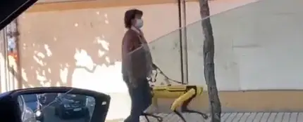 Una mujer pasea por León a su perro robot Una mujer pasea por León a su perro robot