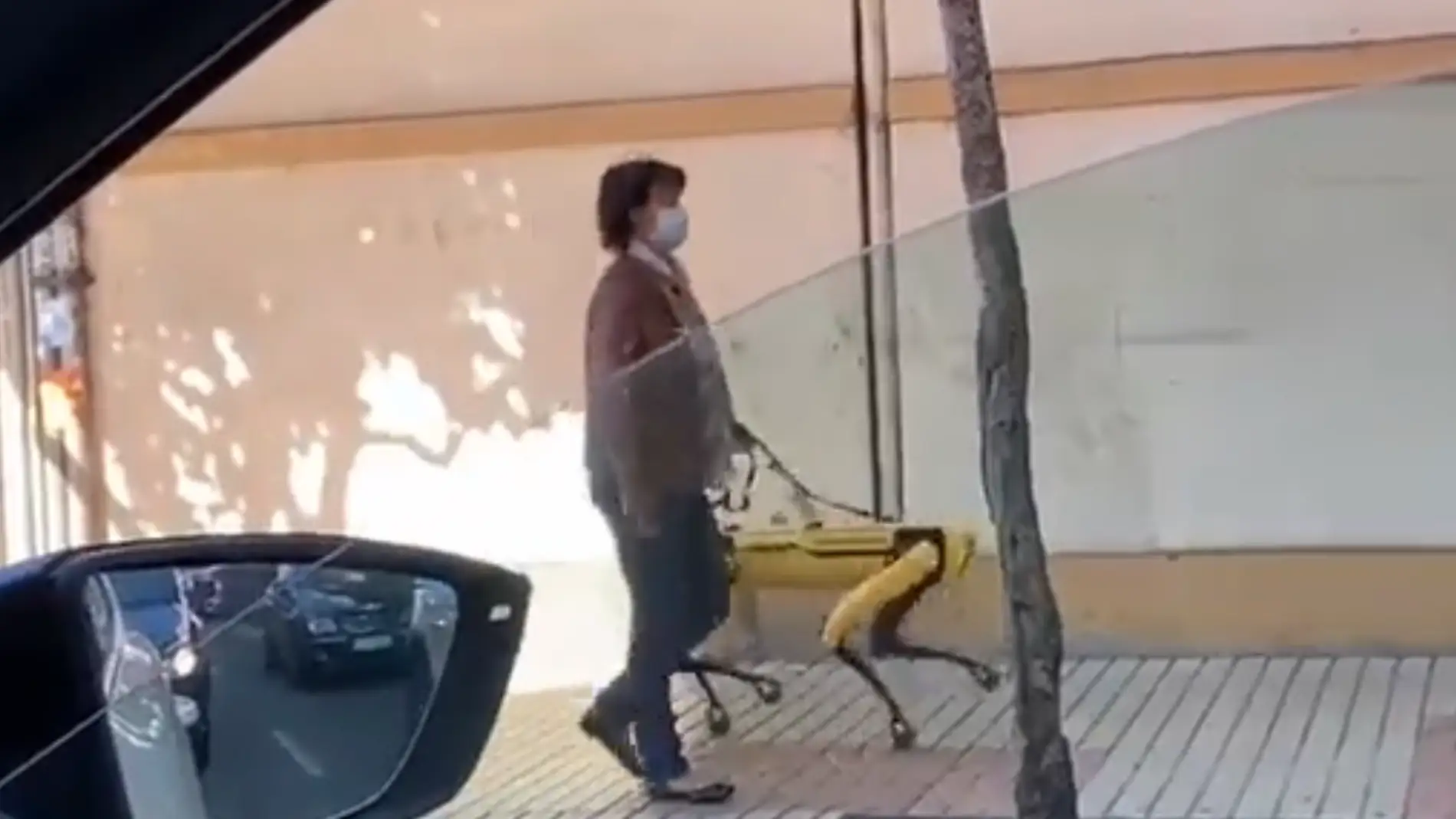 Una mujer pasea por León a su perro robot