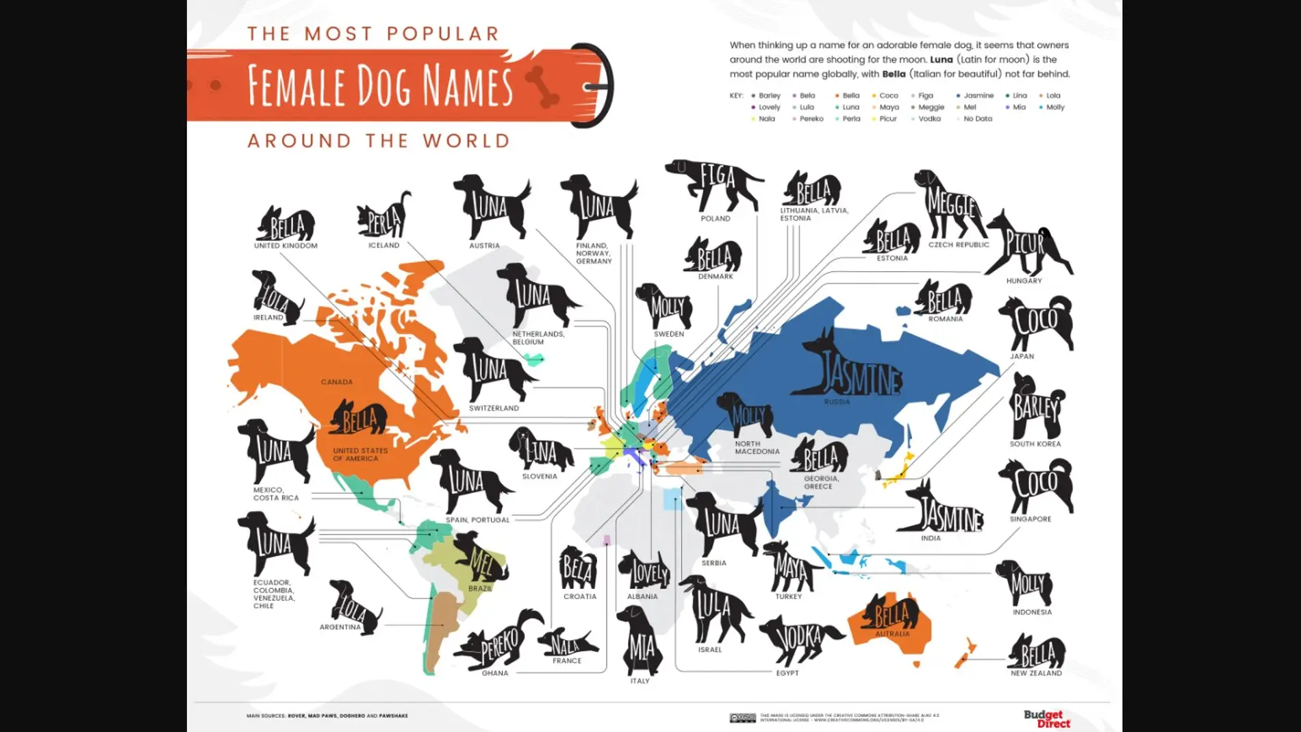 Los nombres de perras más utilizados en el mundo