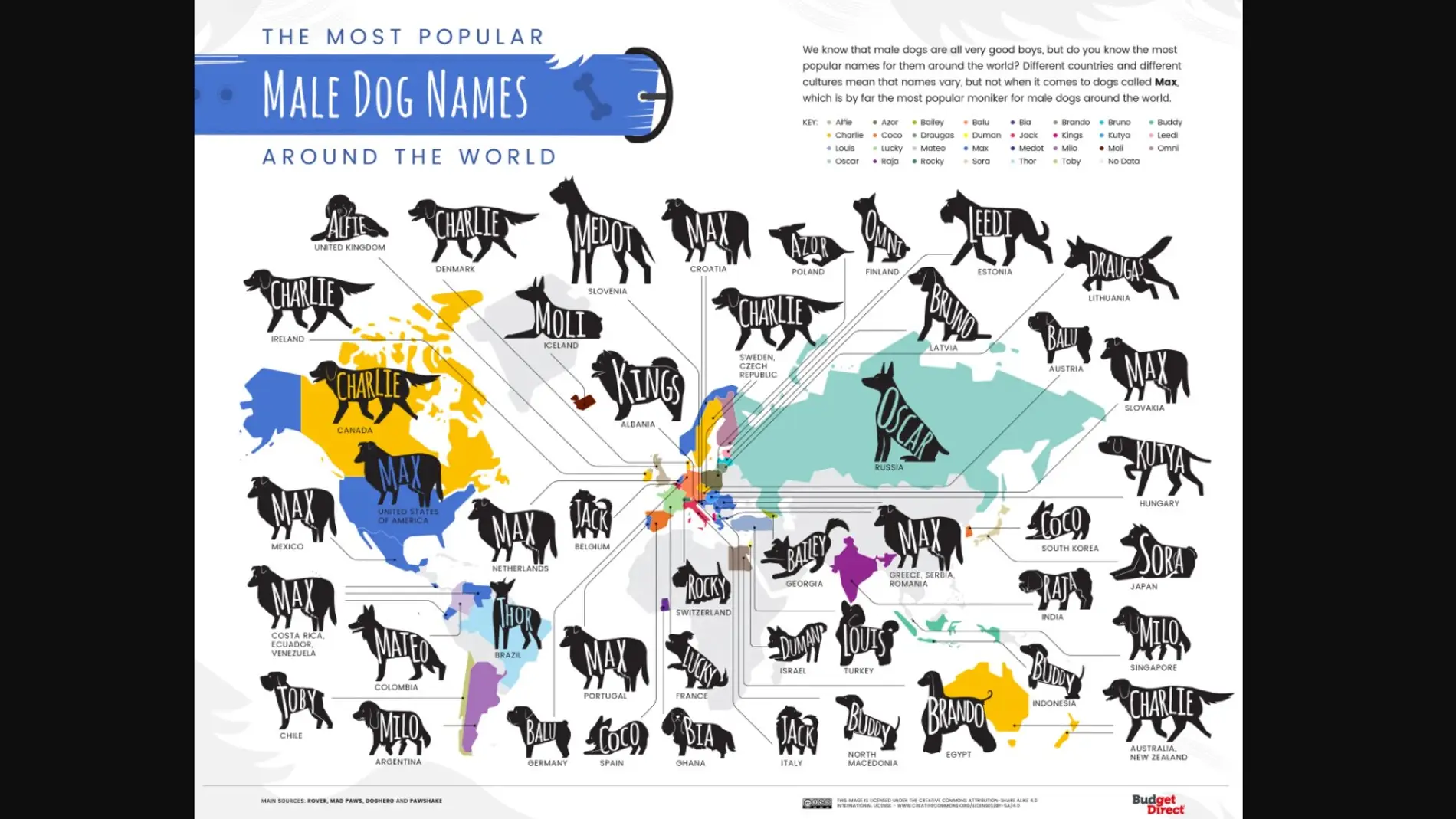 Los nombres de perros más usados en el mundo