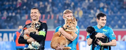 El gesto viral de los futbolistas del Zenit: saltan al campo con perros para apoyar la adopción El gesto viral de los futbolistas del Zenit: saltan al campo con perros para apoyar la adopción
