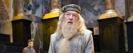 Albus Dumbledore Albus Dumbledore