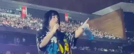 Billie Eilish para un concierto para ayudar a un fan en apuros Billie Eilish para un concierto para ayudar a un fan en apuros
