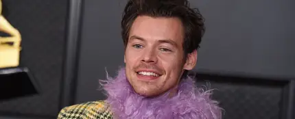 Harry Styles Harry Styles