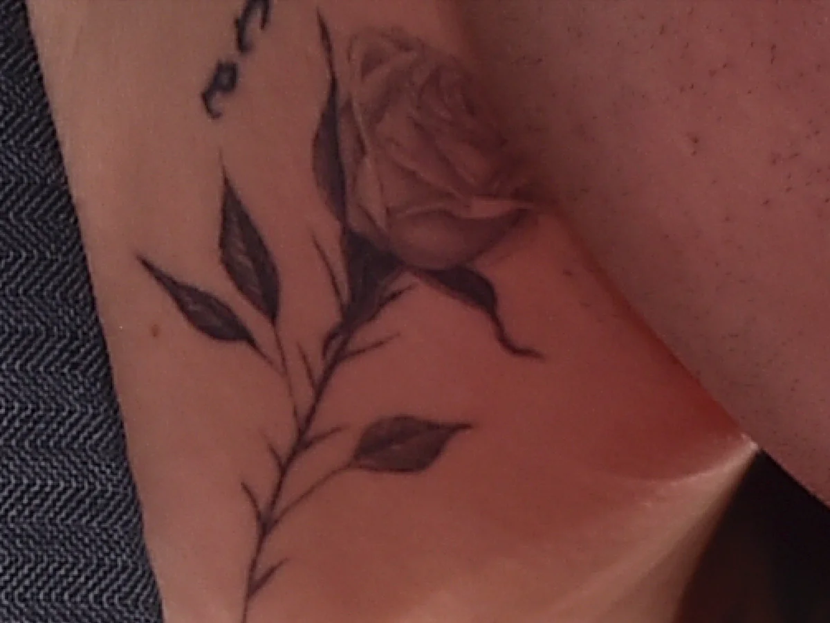 Qué cantante luce esta rosa en el cuello? | Europa FM Qué cantante luce esta rosa en el cuello? | Europa FM