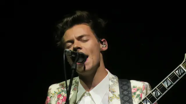 Harry Styles, artista británico