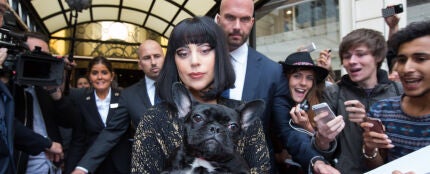 Lady Gaga con uno de sus perros