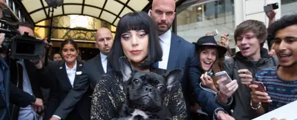 Lady Gaga con uno de sus perros Lady Gaga con uno de sus perros