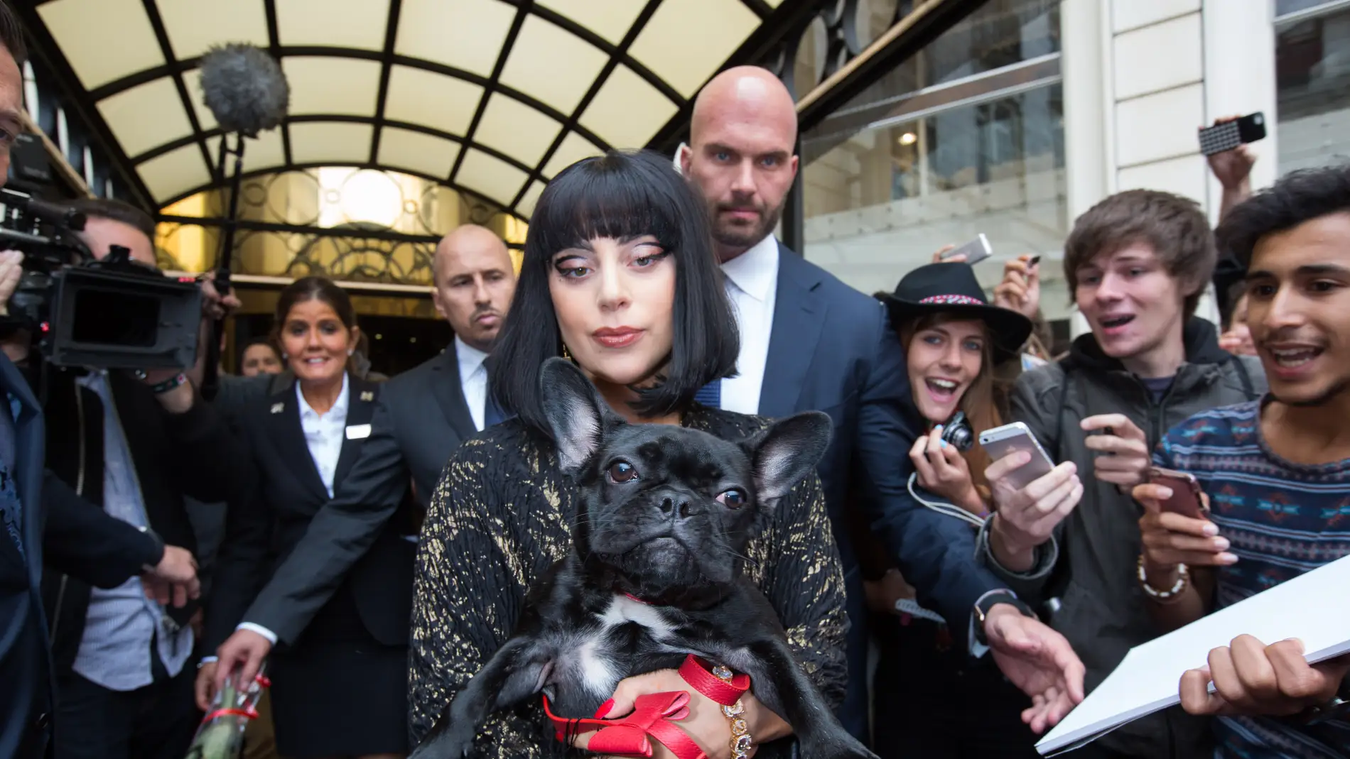 Lady Gaga con uno de sus perros