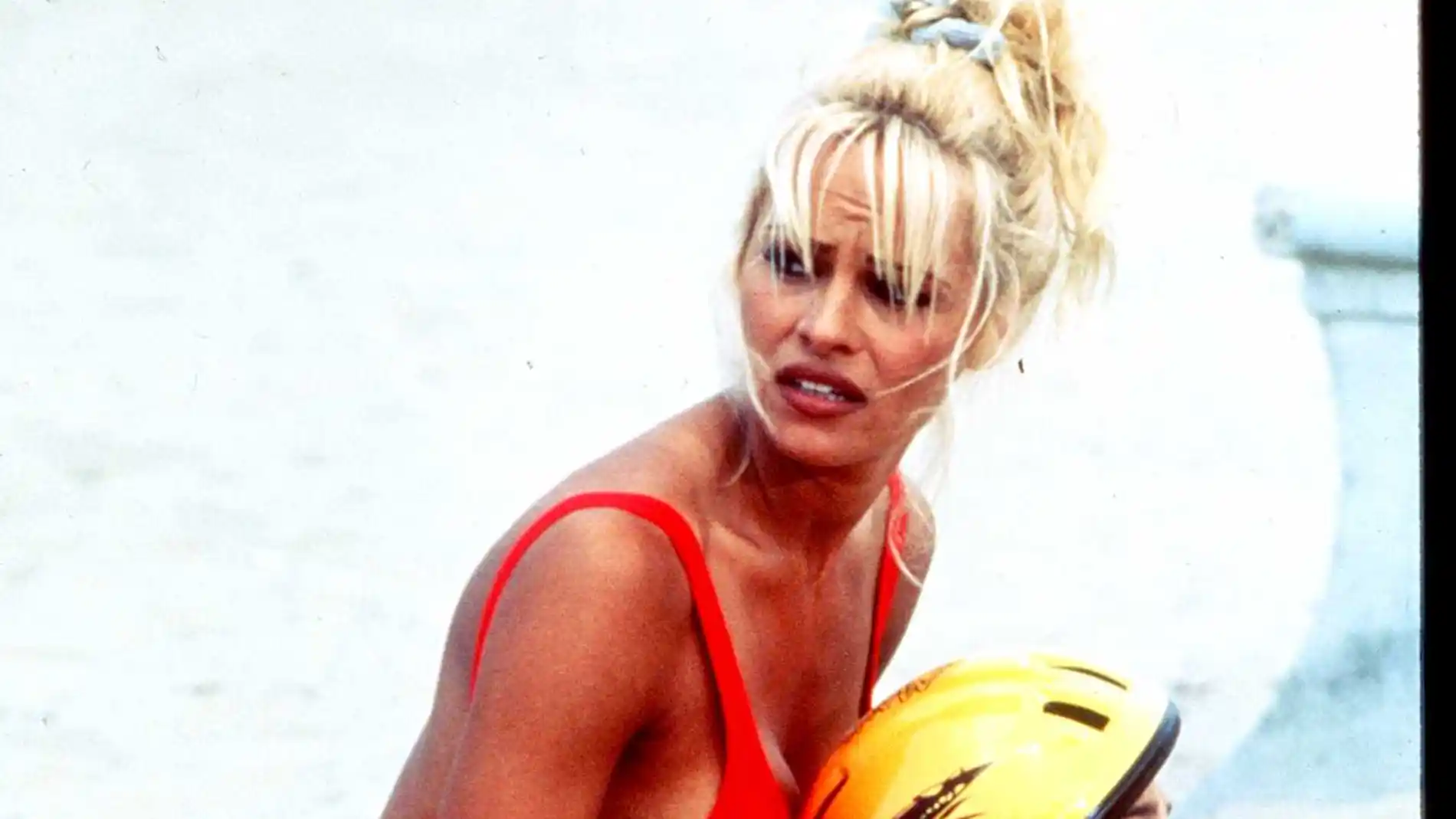 Pamela Anderson Pamela Anderson