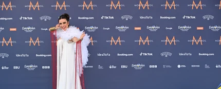 Blanca Paloma en la alfombra celeste Blanca Paloma en la alfombra celeste