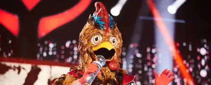 Gallo sigue provocando dolores de cabeza a los investigadores: ¡Así ha sido su paso por 'Mask Singer! Gallo sigue provocando dolores de cabeza a los investigadores: ¡Así ha sido su paso por 'Mask Singer!
