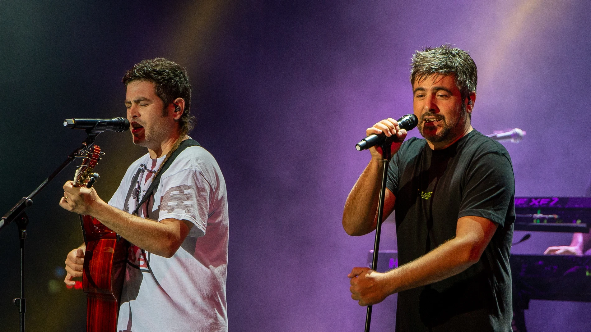 Los hermanos Muñoz durante un concierto de Estopa. 