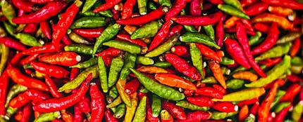 Chiles picantes Chiles picantes